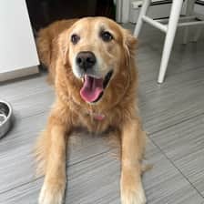 Daisy