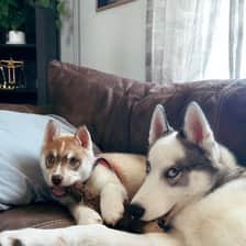 Kira