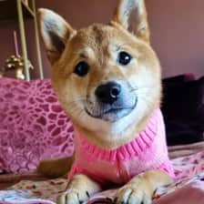 Nayla