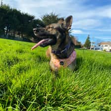 Amber