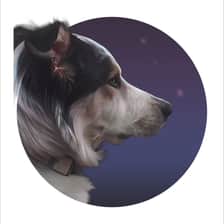 ayla