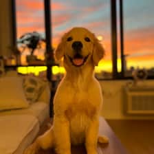 Macy