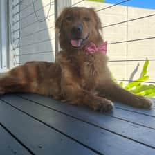 Maddy