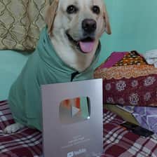 Vinayak