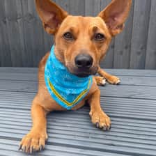 Hannah