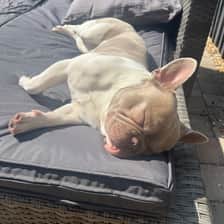 @Thewonderfullifeofmerle