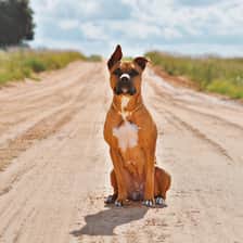 yunatheprettypitty