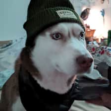 Martin