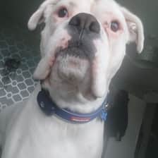Sam