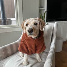 Winston
