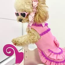 Patricia