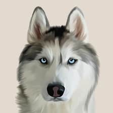NHI