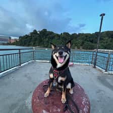 Penelope