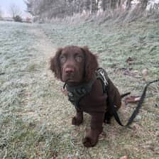 Madmackthesprocker