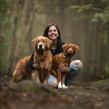 retrieversjourney
