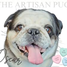The Artisan Pug