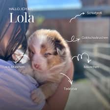 Lola