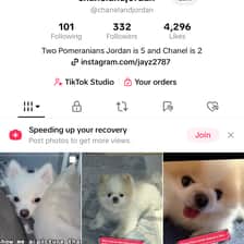 Jordan Chanel