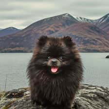 Laszlo