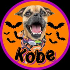 kobethejug