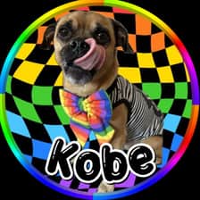 kobethejug