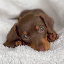 Stretch_thewiener