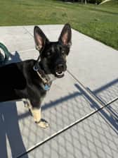 lokithegerman