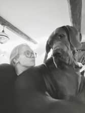 The Developer and The Dane