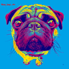 pug_hugo_otto