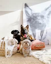 thehome.and.fluff