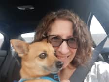Itsapomchilifeforus