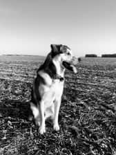 Life_of_kaizer