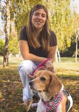pipocathebeagle