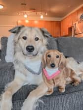 https://www.instagram.com/oakandsadie/