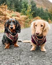 Thelakes.daxieduo