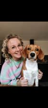 Milly_beaglexkooiker