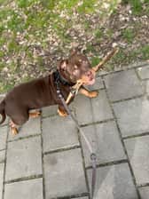 Tankie_mb