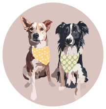 indydogslife