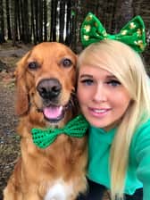 an_madra_gaelach