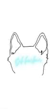 bh.huskies
