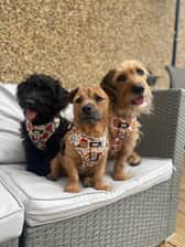 brian.sootsie.lyla