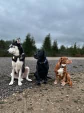 Lifewiththemuttleycrew