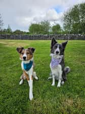 adventures_of_ginny_and_olly