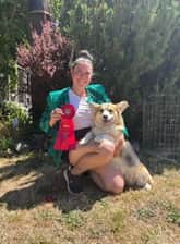 maslowthetrickcorgi