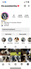 the.aussiebentley