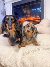 Nellieandnorma