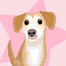 heykirbydog