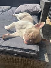 @Thewonderfullifeofmerle