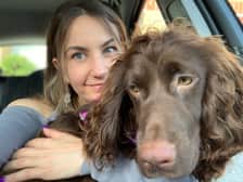Cali_the_cocker_spaniel
