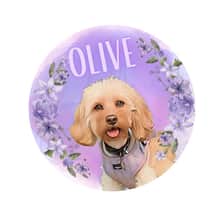 Olivethetoycavapoo